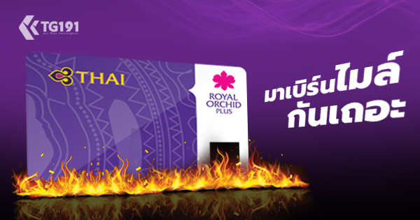 �ѻ�ô��������ͧ�Թ ���������������� �ѹ��� ��úԹ��
