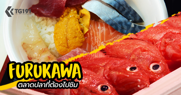 ��Ҵ��� Furukawa ��ͧ仫ѡ���駷����������